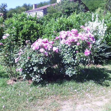 Caumont-sur-Garonne L'Ancien Patronage旅馆 外观 照片