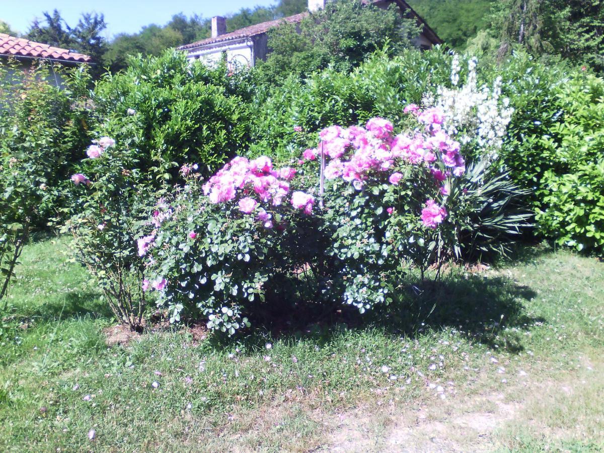 Caumont-sur-Garonne L'Ancien Patronage旅馆 外观 照片
