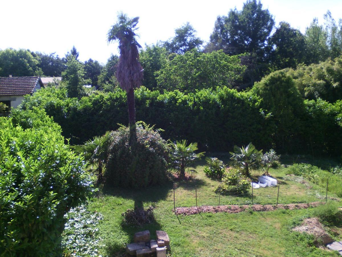 Caumont-sur-Garonne L'Ancien Patronage旅馆 外观 照片